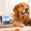 Vermifuge du chien et du chat : faut-il traiter son animal à l’automne ?