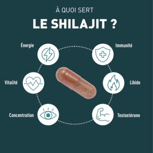 GRANIONS - Shilajit 1000mg - 60 gélules