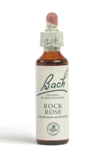 Fleur de Bach Hélianthème / Rock Rose - Flacon compte-gouttes 20 ml