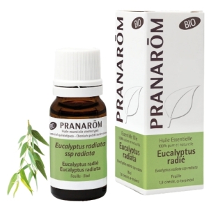 huile essentielle eucalyptus radié bio respiration expectorant antiviral immunité naturel