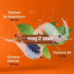 MAG2 - Phyto Énergie - 30 ampoules