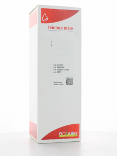 CURCUMA XANTHORRHIZA Teinture mère Gouttes 125 ml (BOIRON)