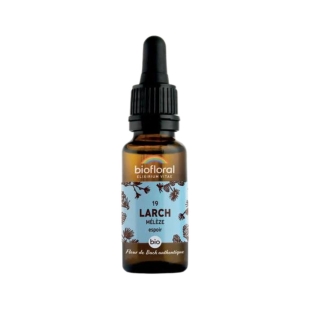 BIOFLORAL Espoir - Fleur de Bach BIO Mélèze (19) - 20ml