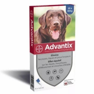 ADVANTIX Grand Chien 25 à 40 kg (6 pipettes)
