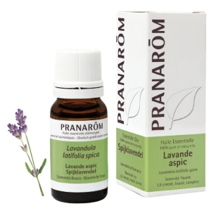 lavande aspic lavandula spica huile essentielle cineole linalol camphre cicatrisante antalgique antivirale fongicide piqures brulures