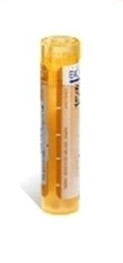 RUTA GRAVEOLENS Tube granules BOIRON