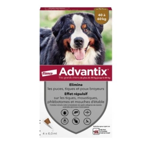 ADVANTIX Très Grand Chien de 40 à 60kg - 4 Pipettes