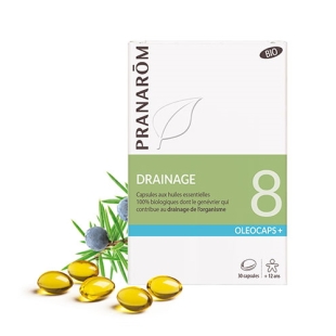 Capsules drainage detox elimination foie rein citron menthe gingembre naturel bio bien etre