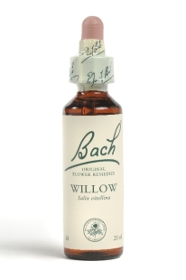 Fleur de Bach Saule / Willow - Flacon compte-gouttes 20 ml