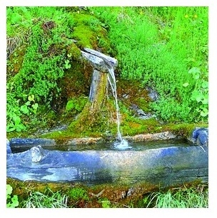 BACH - Fleur de Bach Eau de roche / Rock Water - Flacon compte-gouttes 20 ml