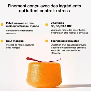 NAALI - Gummies Anti-Stress au Safran Relaxation et Humeur Positive - Goût Mangue X42