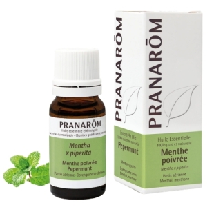 menthe poivree mentha piperita huile essentielle menthol menthone energisant digestif antinauséeux analgesique anti inflammatoire haleine fraiche