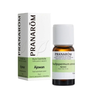 ajowan trachyspermum ammi huile essentielle thymol antibacterien antifongique antiviral immunitaire apiaceae fruit distillation