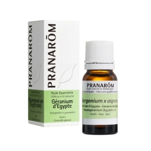 huile essentielle geranium egypte pelargonium asperum pranarom peau antibacterien astringent cicatrisant naturel
