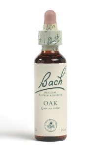 Fleur de Bach Chêne / Oak - Flacon compte-gouttes 20 ml
