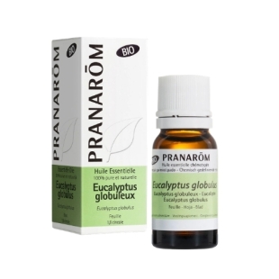 eucalyptus globulus bio huile essentielle eucalyptol respiration diffusion assainissant air hivernal confort respiratoire forêts eucalyptus