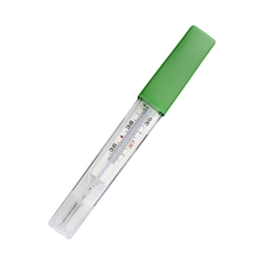 Thermomètre Classique au Gallium (sans mercure)
