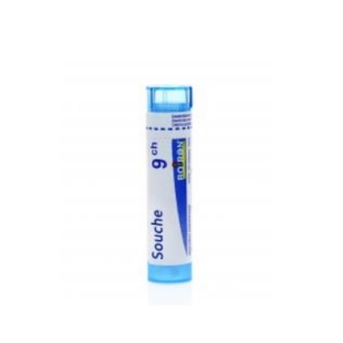 ALCHEMILLA VULGARIS (Alchemille Vulgaire) Tube granules BOIRON 