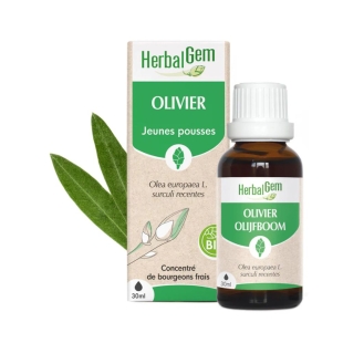 HERBALGEM Bourgeon d'Olivier Bio - 30ml
