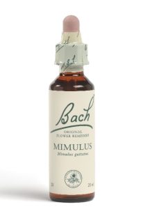 Fleur de Bach Mimule / Mimulus - Flacon compte-gouttes 20 ml