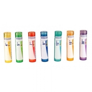 Onosmodium Virginicum Tube granules Boiron