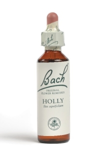 Fleur de Bach Houx / Holly - Flacon compte-gouttes 20 ml