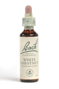 Fleur de Bach Marronnier blanc / White Chestnut - Flacon compte-gouttes 20 ml