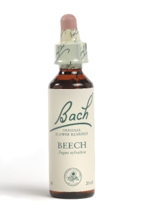 Fleur de Bach Hêtre / Beech - Flacon compte-gouttes 20 ml