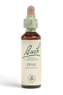 Fleur de Bach Pin / Pine - Flacon compte-gouttes 20 ml