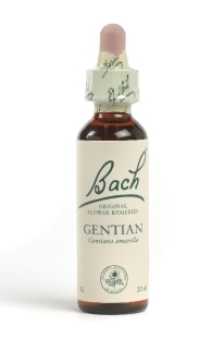 Fleur de Bach Gentiane / Gentiane Flacon compte-gouttes 20 ml
