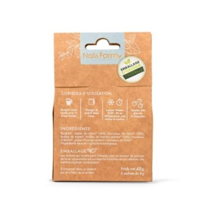 Nat & Form - Infusion Glacée - Menthe Citron BIO - 6 Sachets