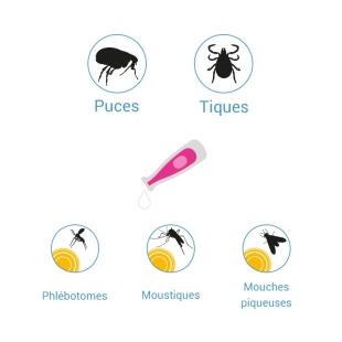 FRONTLINE TRI-ACT Chiens M : 10-20 kg (3 Pipettes)