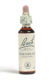 Fleur de Bach Charme / Hornbeam - Flacon compte-gouttes 20 ml