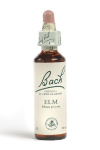 Fleur de Bach Orme / Elm - Flacon compte-gouttes 20 ml