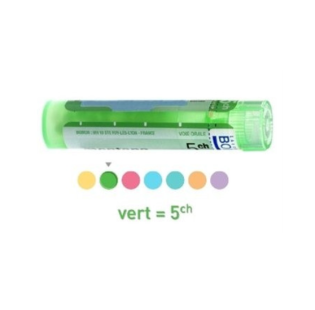 HEPATINE (foie) Tube granules BOIRON