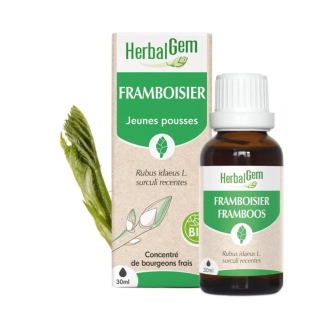 HERBALGEM Jeunes Pousses Framboise Bio - 30ml