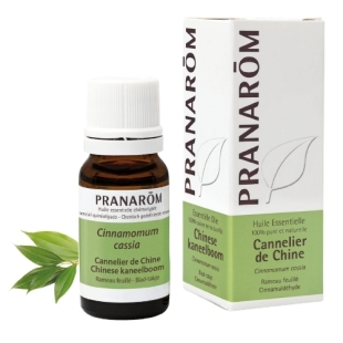 cannelle chine cinnamomum cassia huile essentielle cinnamaldehyde antibacterien antiviral antifongique stimulant aphrodisiaque immunite