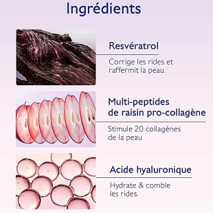 CAUDALIE Resveratrol-lift Crème Tisane de Nuit défroisse, repulpe et nourrit la peau pendant la nuit recharge 50 ml