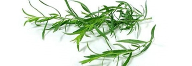 ESTRAGON Huile Essentielle (5 ml) Puressentiel