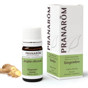 huile essentielle gingembre bio troubles digestifs nausées ballonnements Pranarôm