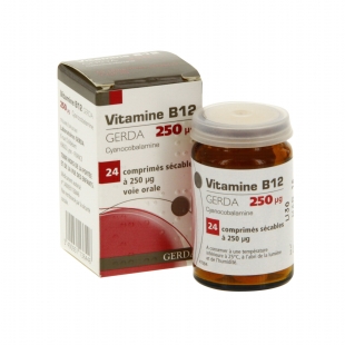 VITAMINE B12 Gerda (24 Comprimés)