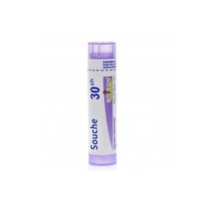 PARIETARIA OFFICINALIS Tube granules BOIRON