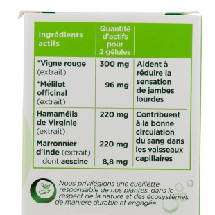 Lehning - ClimaxolCAPS Circulation Bio - 60 gélules