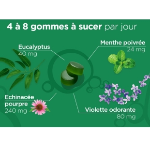 Lehning -  L52 Respiration - 45 Gommes