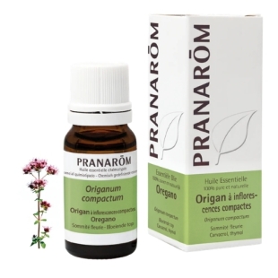 huile essentielle origan compact bio immunite fatigue digestion carvacrol thymol aromatherapie
