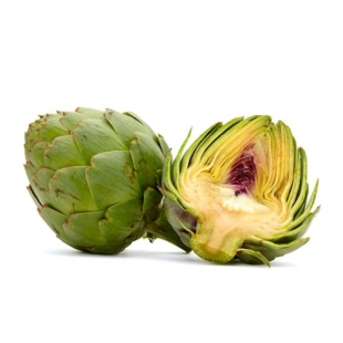EPS ARTICHAUT (flacon 500 ml) Extrait de Plante Fraiche Phytostandard 