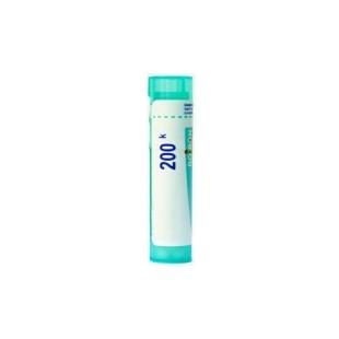 NUX MOSCHATA dose globules BOIRON