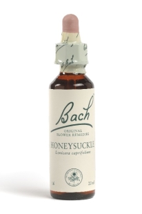 Fleur de Bach Chèvrefeuille / Honeysuckle - Flacon compte-gouttes 20 ml