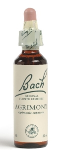 Fleur de Bach Aigremoine / Agrimony - Flacon compte-gouttes 20 ml