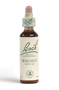 Fleur de Bach Noyer / Walnut  - Flacon compte-gouttes 20 ml